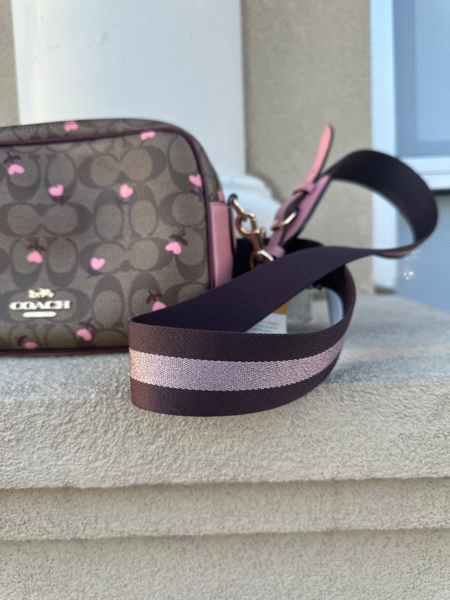 Coach Jes crossbody signature print with floral hearts